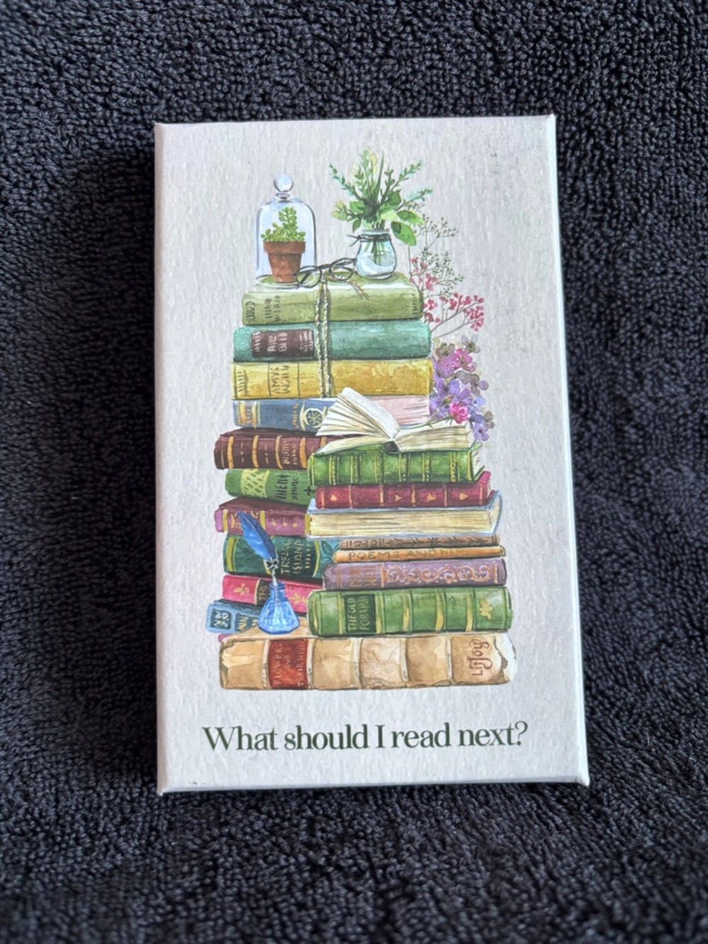 LitJoy Crate Box of TBR Cards